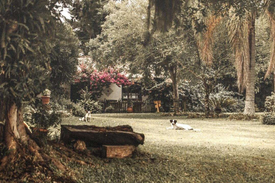 Morro RedondoSitio Amoreza别墅 外观 照片